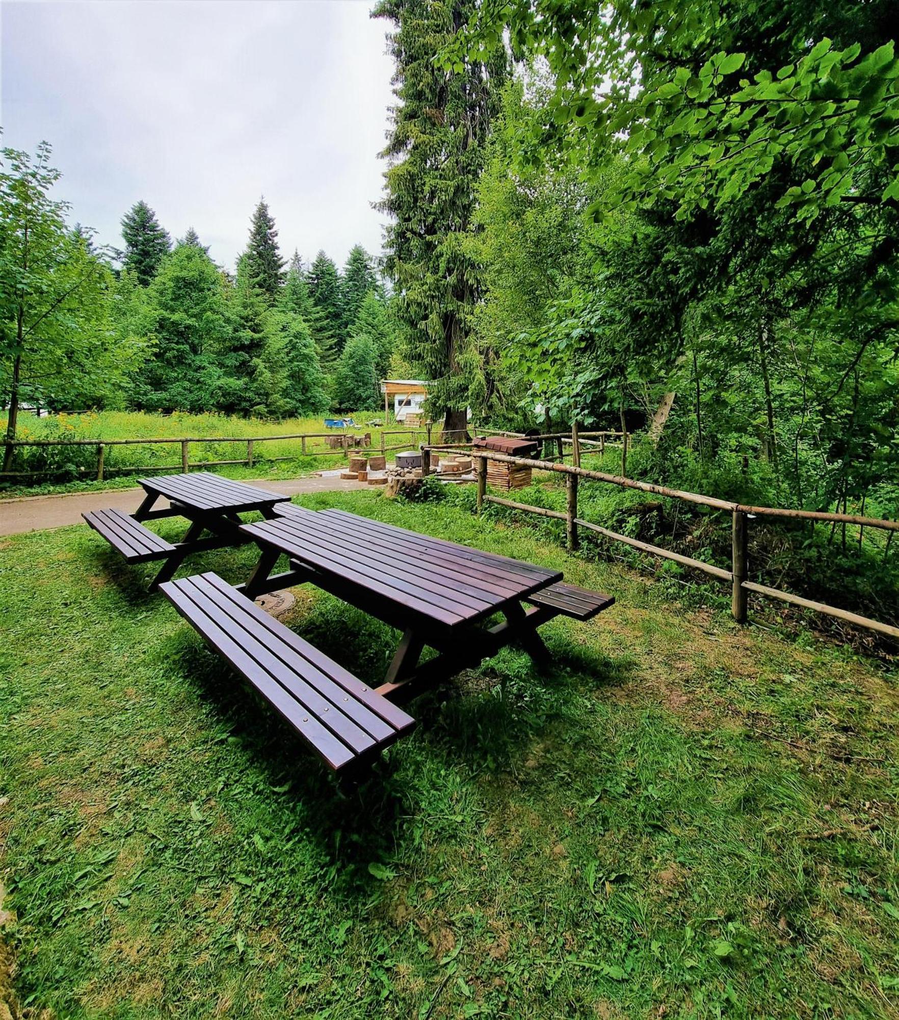 Kokiche 4 Friends, Borovets Apartamento Exterior foto